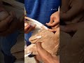 how to make pigeons wing cut katangi tips and trick #shorts #youtoubshort #status