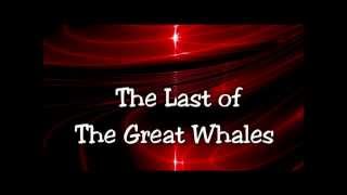 The Last of The Great Whales