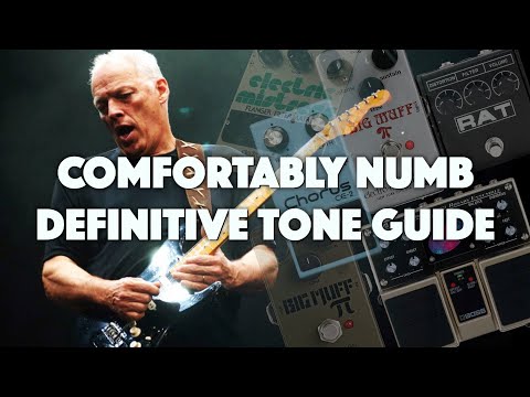 Every Comfortably Numb Guitar Tone Archive (1979-2016)