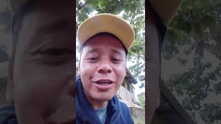 Download lagu #rumah #pantun #pantuncinta #jangkauanluas #viralvideo #trending mp3