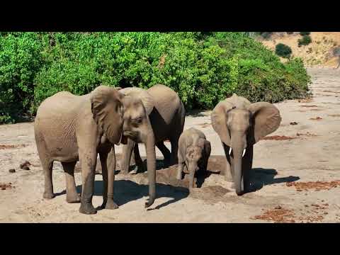Discover Mhara River Camp, Zimbabwe