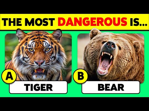 🧠 How Well Do You Know ANIMALS? 🦁🐻🐳 45 Animals Knowledge Trivia Quiz