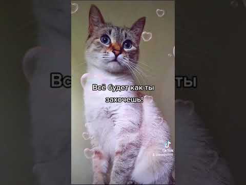 Улыбок тебе желаю Пусть близкие обнимают #shorts
