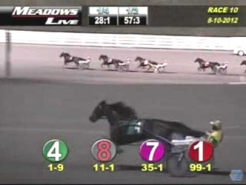 PASS 3Y Filly Trot 2nd Division 2012 -Check Me Out