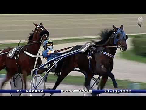 Aversa trotto 21 Dicembre 2022 - 7° Corsa