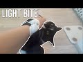 I Ll Bite You So Gently Okay