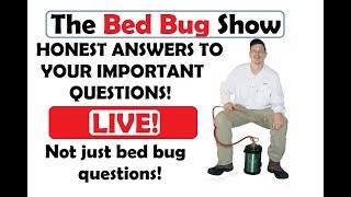 The Bed Bug Show - Live Friday night Show