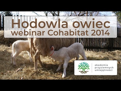 , title : 'Hodowla owiec i własne sery owcze - samowystarczalne gospodarstwo - fragment webinaru Cohabitat'