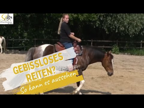Gebisslos. Fein. Sicher. - So fühlt sich Vertrauen an!