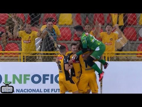 Gols Magnus 6x6 Minas | 8ª Semana | LNF 2018 (19/05/2018)
