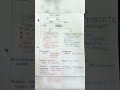 Autonomic nervous system physiology and nervous system