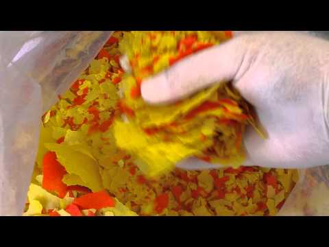 BLUEZOO ! EIGELB MIX FLAKE FISH FOOD WITH EGG YOLK ! BLUEZOO