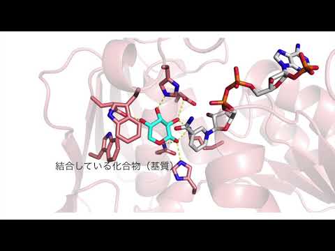 愛媛大学農学部生命機能学科応用生命化学コース紹介