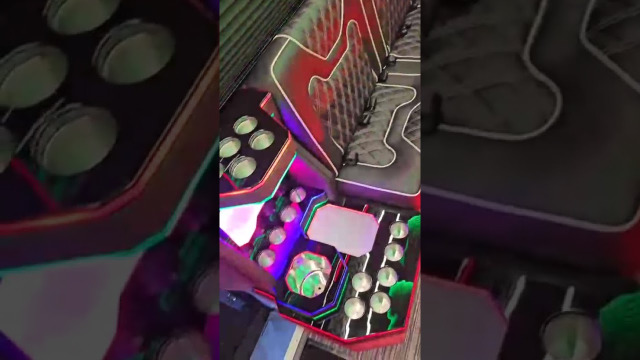 18 Passenger Party Bus