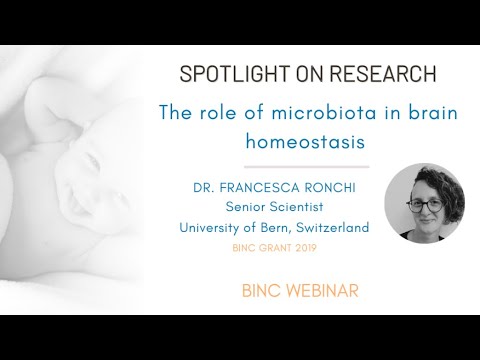 Webinar: The Role of Microbiota in Brain Homeostasis by Prof. Francesca Ronchi