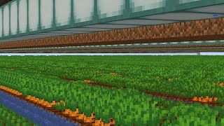 The Correct Way to Sell Your Carrots (Hypixel Skyblock)