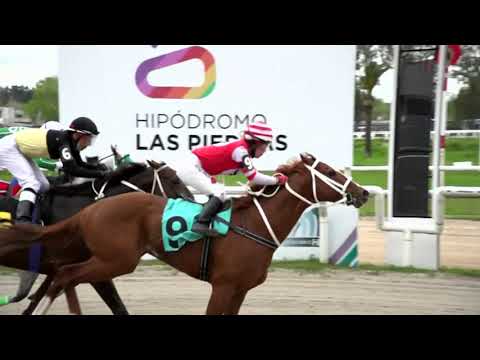 210924 c05 - BUDAPEST - HIPODROMO LAS PIEDRAS