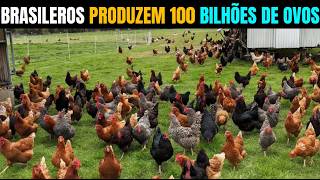 Como os brasileros produzem 100 bilhões de ovos por  anos