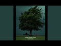 Annul Meale (Bgm)