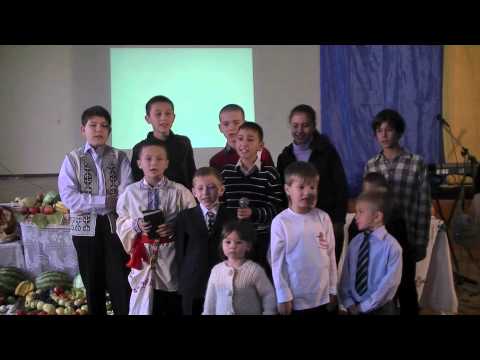 Seceriș 2010 - programul copiilor