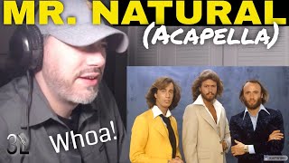 Bee Gees - Mr.  Natural (Acapella)   |  REACTION