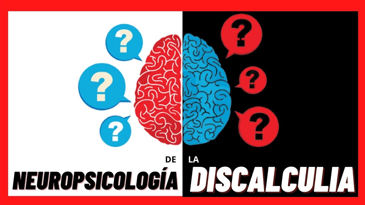 🧠 A qué partes del CEREBRO afecta la DISCALCULIA. Te contamos todo sobre sus BASES ORGÁNICAS
