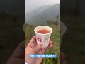 Hills Toy Train Chai Shorts Darjeeling Chai Tea Travel Explore Bollywoodsongs Srk