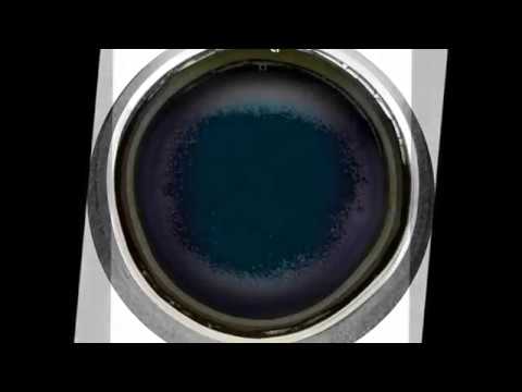 Khristian K - On The Seventh Day