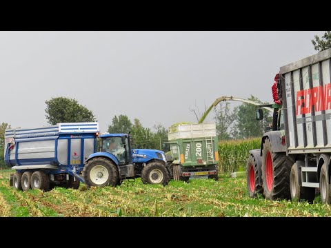 INSILATO MAIS 2020| Claas Jaguar 970, 6x Fendt, New Holland T7.250, Iveco EuroTech| *New* Orbis 750