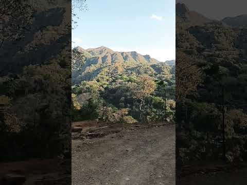 El Palmar, Ola provincia Coclé