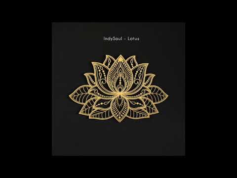 IndySoul -  Lotus
