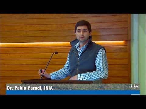 Salud animal en bovinos - Pablo Parodi