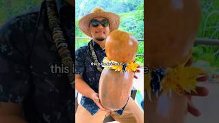 Download lagu Hawaiian double gourd drum - Ipu Heke #hawaiianinstruments #indigenous #musicalinstrument mp3