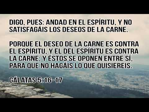 Romanos 8 video