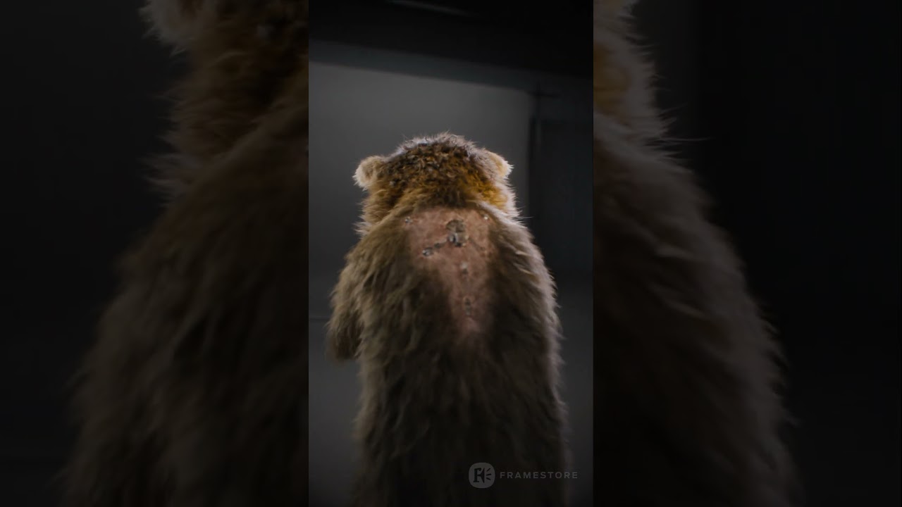 Rocket Raccoon | Framestore Test Footage