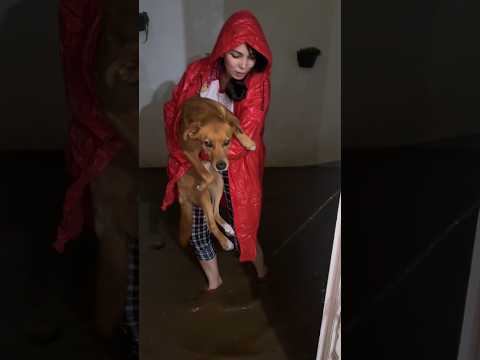 Our house flooded ☹️ #sad #SummerOnShorts