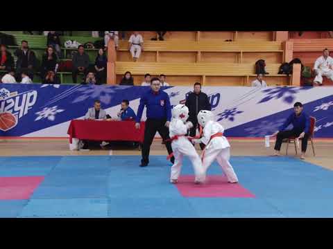 mongolian shinkyokushinkai karate full contact karate championship 2019