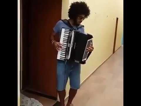 Mestrinho - Instrumental de Dominguinhos