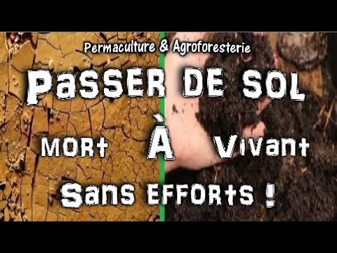PERMACULTURE : FABRIQUER RAPIDEMENT UN SOL VIVANT ET RICHE RESTAURER LA VIE AU JARDIN POTAGER !