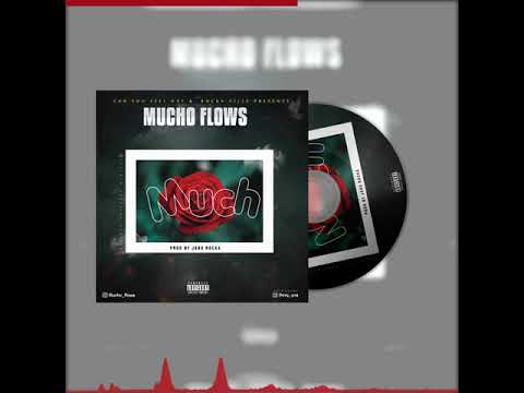 Mucho Flows - Much (Official Audio)