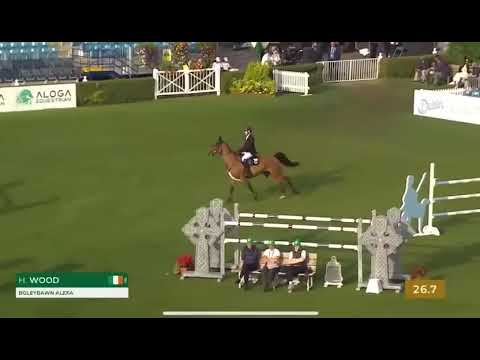 Boleybawn Alexa 5yo RDS