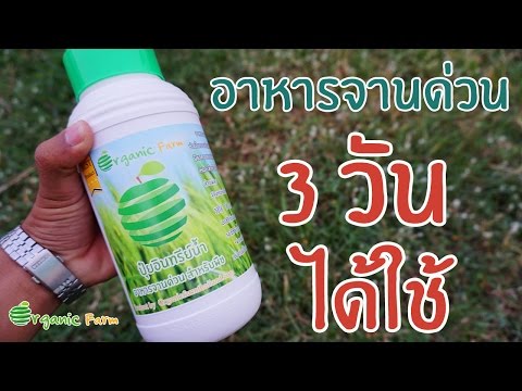 ความอ่อนแออีสุกอีใส เทคนิคการเพิ่มสมาชิก
