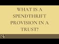What Is a Spendthrift Provision in a Trust? (Part 1)