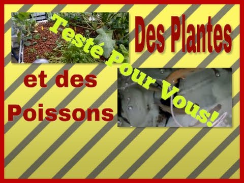 comment monter systeme hydroponique