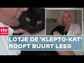 Lotje steelt lingerie van de buren | RTV Drenthe