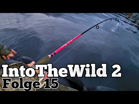 Last episode of IntoTheWild 2: Glamping - Flatfish active and everything full of predatory fish