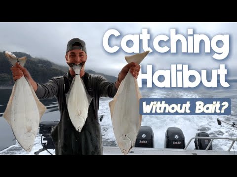 Catching Halibut with NO BAIT?! Shelikof Strait Went Wild
