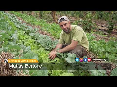 Matías Bertone, especialista en producción agroforestal en El Soberbio, Misiones