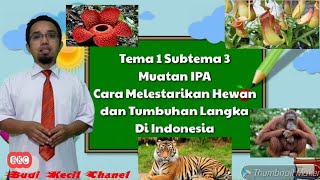 Download lagu How to Preserve Endangered Animals and Plants || Theme 1 Subtheme 3 || 6th Grade mp3