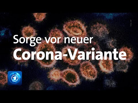 Coronavirus: Omikron-Variante bereitet Expert:innen Sorge